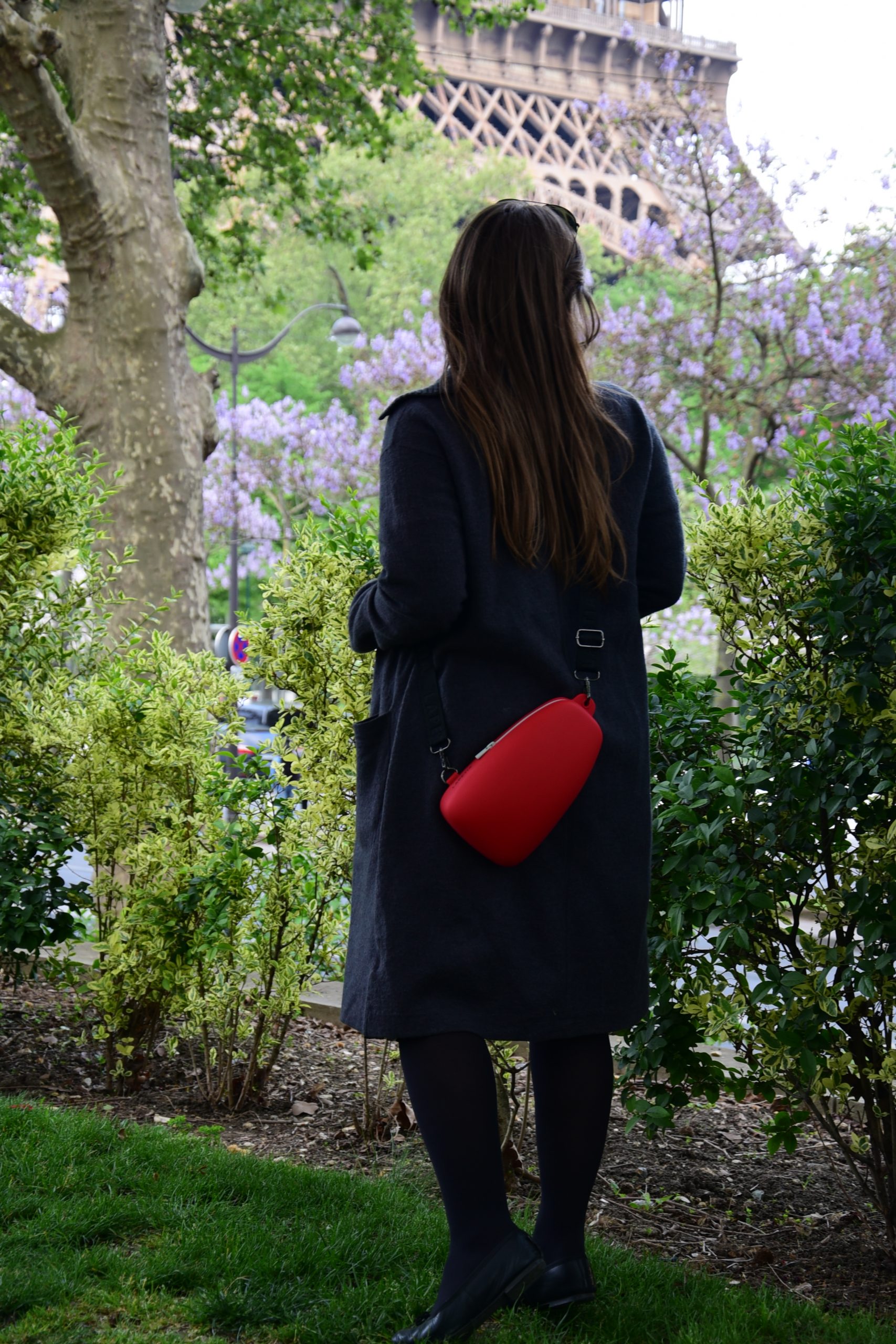 CHILI PEPPER AERO - Image 5